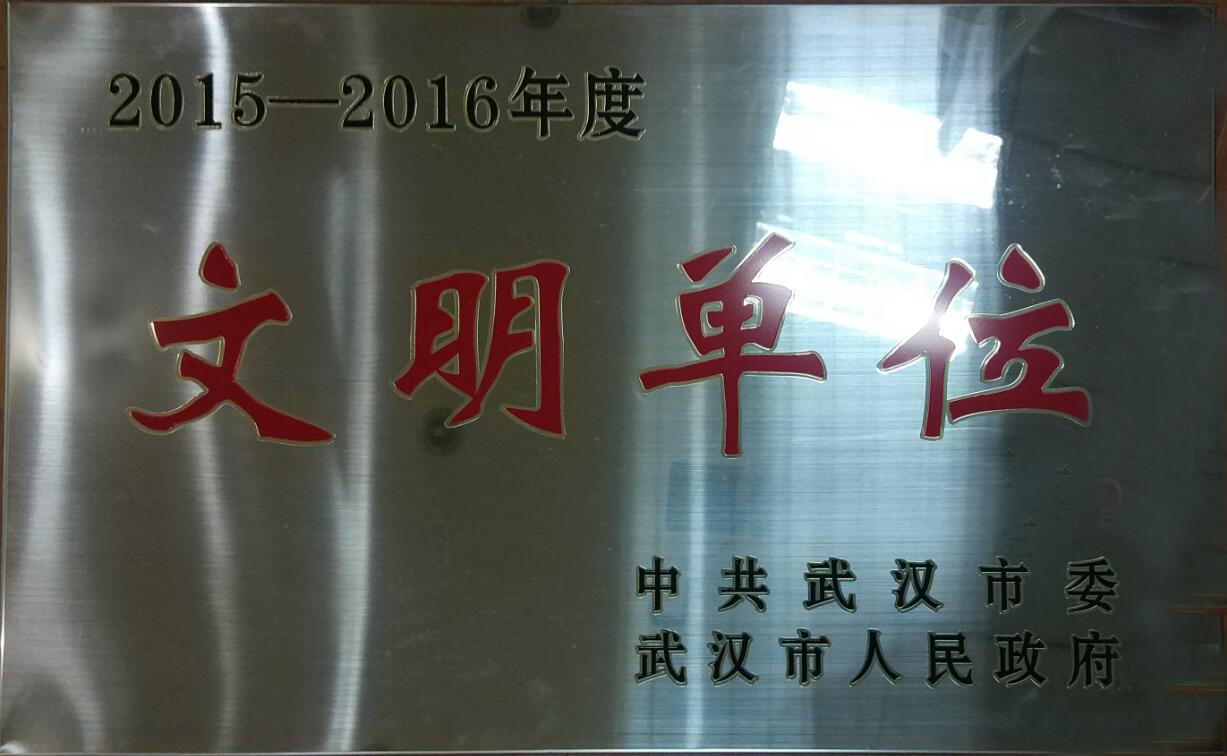 武汉市文明单位2016.jpg